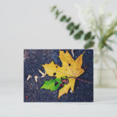 黄色い葉 ポストカード (スタンド正面)