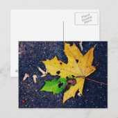 黄色い葉 ポストカード (正面/裏面)