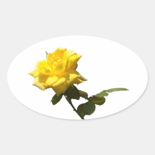黄色い薔薇 楕円形シール (正面)