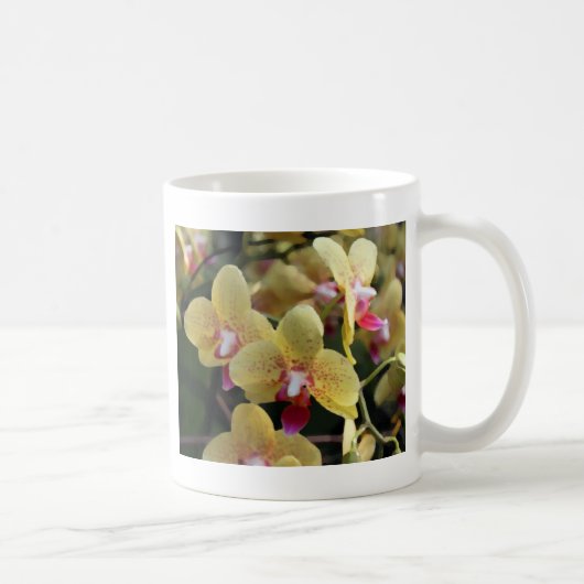 黄色い蘭の花 コーヒーマグカップ (右)