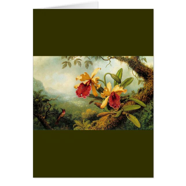 黄色い蘭 (正面)