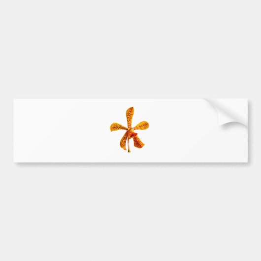 黄色い蘭 バンパーステッカー (正面)