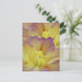 黄色い虹彩及びその意味 ポストカード (スタンド正面)