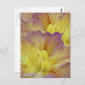 黄色い虹彩及びその意味 ポストカード (正面/裏面)