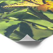 黄色い蝶と花 ポスター (角)