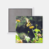 黄色い蝶のアップクローズ マグネット (正面/裏面)