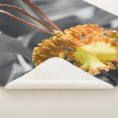 黄色い蝶の蘭の花 シェルパブランケット (3/4)