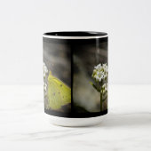 黄色い蝶 ツートーンマグカップ (中央)