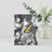 黄色い蝶 ポストカード (スタンド正面)