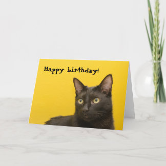 黄色い誕生日の黒猫 カード