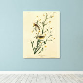 黄色い赤毛のウグイス・アウドゥボンの鳥たち キャンバスプリント (インサイチュ (ウッドフロア))