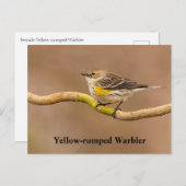 黄色い起伏のあるウイスラーの止まり ポストカード (正面/裏面)