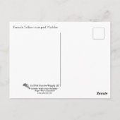 黄色い起伏のあるウイスラーの止まり ポストカード (裏面)