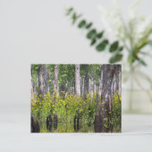 黄色い郵便はがき ポストカード (スタンド正面)