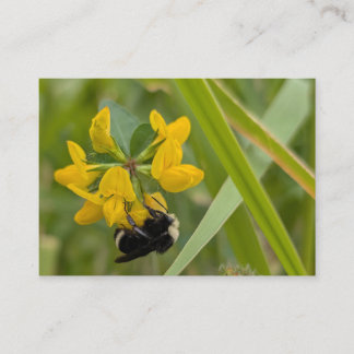 黄色い野の花の上のマルハナバチ 名刺