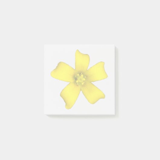 黄色い野の花の付箋 ポストイット (正面)