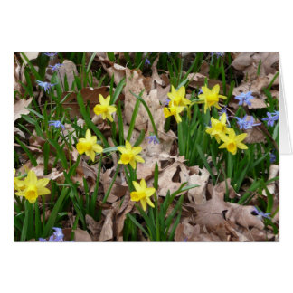 黄色い野生の花