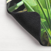 黄色い野生の花 マウスパッド (コーナー)