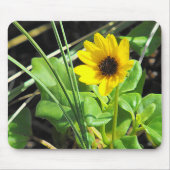 黄色い野生の花 マウスパッド (正面)
