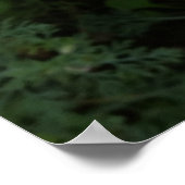 黄色い野草 ポスター (角)