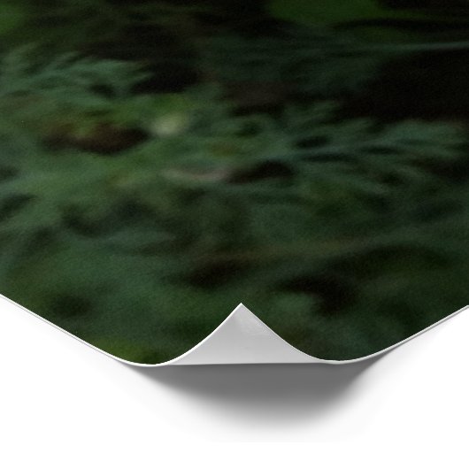 黄色い野草 ポスター (角)