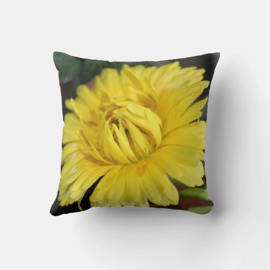 黄色い開花2 クッション (裏面)