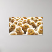 黄色い雛が大勢集まった キャンバスプリント (正面)