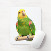 黄色い頭のアマゾン マウスパッド (マウス)