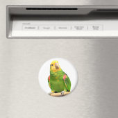 黄色い頭のアマゾン マグネット (インサイチュ (食洗機))