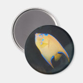 黄色い魚の磁石 マグネット (正面/裏面)
