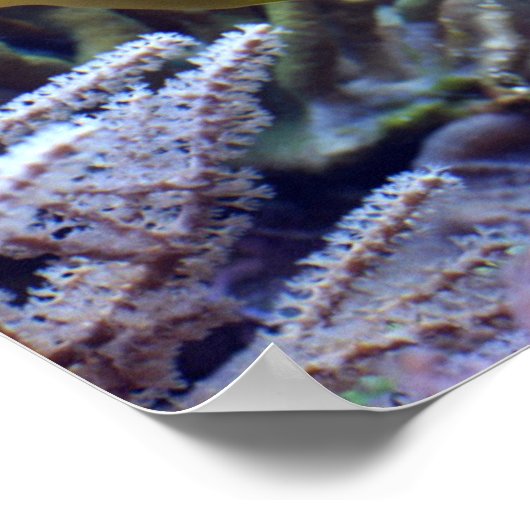 黄色い魚 ポスター (角)