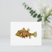 黄色い魚 ポストカード (スタンド正面)