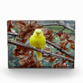 黄色い鳥の木のブロック写真 フォトブロック (正面)