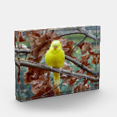黄色い鳥の木のブロック写真 フォトブロック (左)