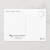 黄色い鳴り声を出したウグイス ポストカード (裏面)