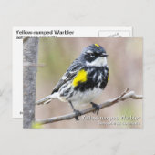 黄色い鳴り声を出したウグイス ポストカード (正面/裏面)