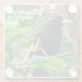 黄色い鳴り声を出すカシ ガラスコースター (裏面)