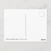 黄色い鳴り声を出すカシ ポストカード (裏面)