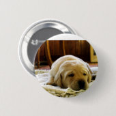 黄色い2ラボパピー 缶バッジ (正面&裏面)