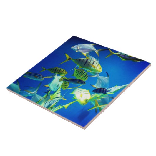 黄色い タイル (側面)