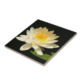 黄色い《植物》スイレンのタイル タイル (側面)