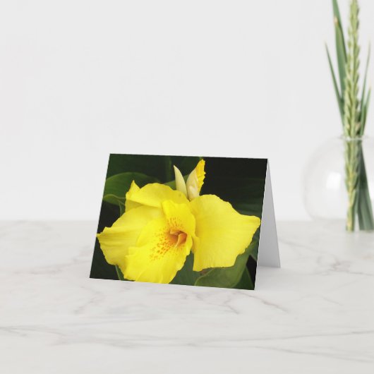 黄色いCanna カード (正面)