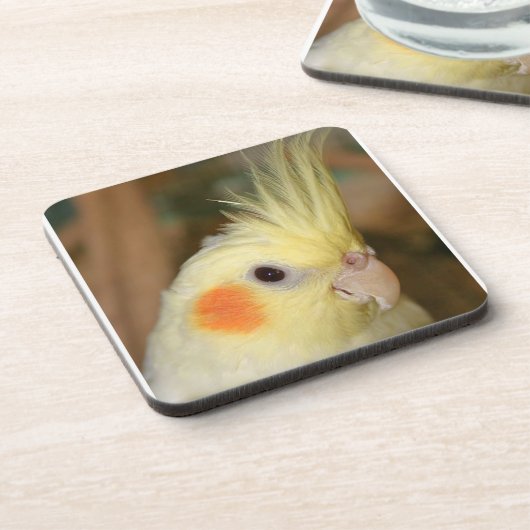 黄色いCockatiel コースター (左側)