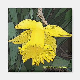 「黄色いDaffodil マグネット