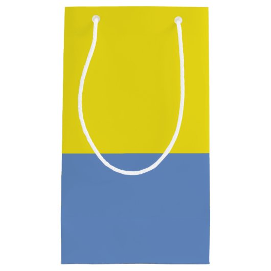黄色およびスカイブルーのギフトバッグ スモールペーパーバッグ (正面)