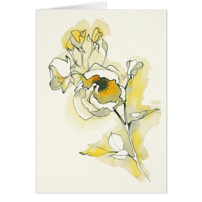 黄色および白いバラ (正面)