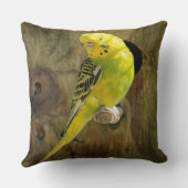 黄色かわいらしのインコ クッション (裏面)