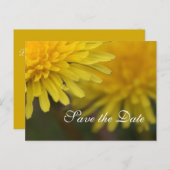 黄色かわいらしの野生の花のタンポポ保存日付 案内ポストカード (正面/裏面)