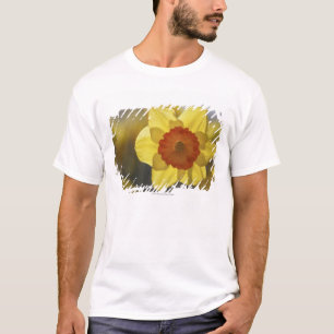 黄色かオレンジラッパスイセンの閉めて下さい Tシャツ