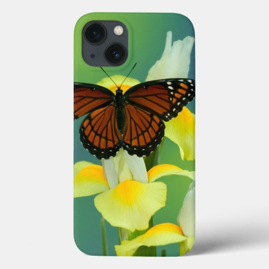 黄色く日本のなアイリスの提督の蝶 Case-Mate iPhoneケース (裏面)